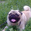 ���� ������, ���������, 54 ���� - ��������� 21 ���� 2012 � ������ ���� ����������