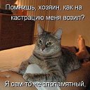 ���� ��������, �����, 44 ���� - ��������� 17 ������� 2012 � ������ �������