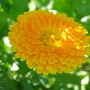 ���� Feruza, ������ - ��������� 16 ������ 2011