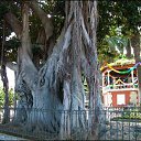 �������� ����� �� ������� ������� ���� �������