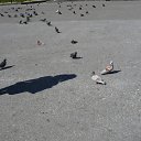 ���� Helen, ������ - ��������� 5 ������� 2011 � ������ �I`m�