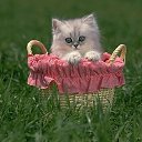 ���� �����, ������, 63 ���� - ��������� 16 ������� 2012 � ������ �������