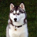  Angel, , 39  -  16  2010   