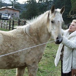 Svetlana, �����, 78 ���