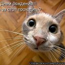 ���� ��������, �������� - ��������� 11 ����� 2012 � ������ �������� ��������