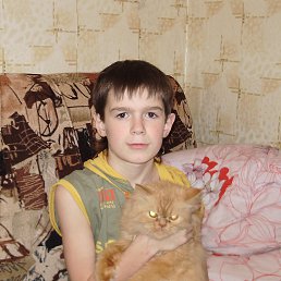 ���� ���������, ������ ����� - ��������� 1 ������ 2013