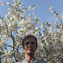 ���� ��������, ���������, 52 ���� - ��������� 22 ������ 2013 � ������ ���� ����������