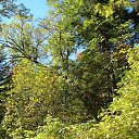  Wit, , 59  -  3  2009    -  