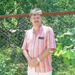 �������, �������, 65 ���