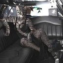   ( -        ,  -  3  2010     