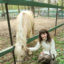 ���� �����, ������, 44 ���� - ��������� 10 ��� 2012