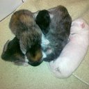 ���� ���������, ����, 53 ���� - ��������� 29 ���� 2012 � ������ ������