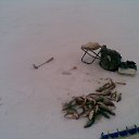 ���� ��������, �����������, 57 ��� - ��������� 21 ������ 2013 � ������ ���� ����������