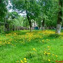 � ���� - ���������� � ��� �� �� ������� �������