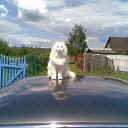 ���� �����, �������, 46 ��� - ��������� 6 ��� 2010 � ������ �������