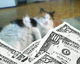 ���� �����, ������������, 38 ��� - ��������� 4 ������� 2012 � ������ ���� ��������