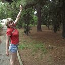 ���� �������, ������� ���� - ��������� 10 ���� 2012