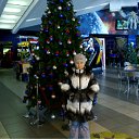 ���� ���������, �����������, 56 ��� - ��������� 6 ������ 2012 � ������ ���� ����������