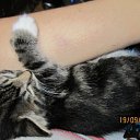 ���� ����, ������, 36 ��� - ��������� 2 ������� 2011 � ������ ���������