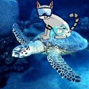 ���� ������, �����-���������, 50 ��� - ��������� 16 ������ 2009 � ������ ������ ���� ����� � ������