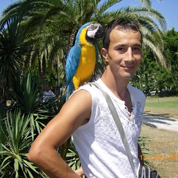 ���� �����, �����-���������, 46 ��� - ��������� 8 ������ 2010