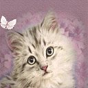 ���� ������ �����, ������, 24 ���� - ��������� 9 ���� 2011 � ������ ������