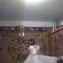 ���� & Maryshka &, ������ - ��������� 26 ������� 2012 � ������ ���� ����������