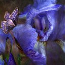 ���� �������, �����, 50 ��� - ��������� 5 ���� 2013 � ������ ���� ����������