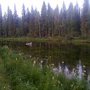 ���� ������, �����������, 57 ��� - ��������� 25 ���� 2013 � ������ ���� ����������