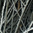 ���� ������, ������� ��������, 47 ��� - ��������� 10 ������ 2011 � ������ �������