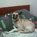 ���� Nata, ����������� - ��������� 15 ������ 2010 � ������ ���� ����������