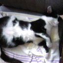   ,  -  26  2013        =)