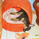 ���� Storm, ���������, 46 ��� - ��������� 16 ������� 2012 � ������ ���� ����������