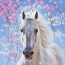 ���� ����, ������������ - ��������� 18 �������� 2011 � ������ ���� ����������