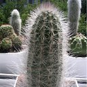 ���� ������, �������, 64 ���� - ��������� 16 ���� 2011 � ������ �����Ȼ