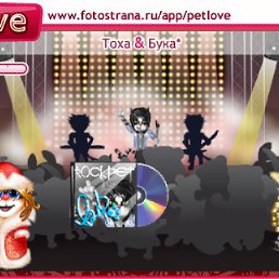 ���� Nika, ����, 38 ��� - ��������� 13 ������� 2010