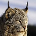 ���� ������, ��������, 47 ��� - ��������� 7 ������ 2012 � ������ ���� ����������