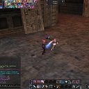 ���� ����, ��������, 29 ��� - ��������� 10 ������� 2010 � ������ �Lineage 2�