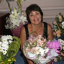 ���� ����, ������������� - ��������� 26 ���� 2013 � ������ ���� ����������