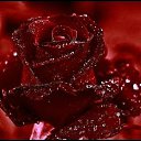 ���� ����, ������������ - ��������� 18 �������� 2011 � ������ ���� ����������