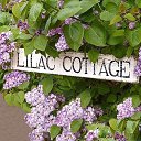  Back To Real Life, , 57  -  20  2012    