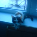 ���� Hell Girl, ���������, 31 ��� - ��������� 22 ������� 2010 � ������ ��������� ���