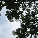 ���� ������, �����������, 64 ���� - ��������� 19 ��� 2012 � ������ ���� ����������