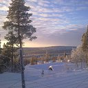  *Alena*,  -  17  2013   