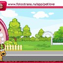  ,  , 39  -  17  2011   PetLove