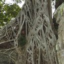  Vladimir,  -  4  2012    2012.