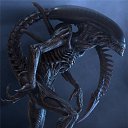  Alien, , 42  -  2  2013