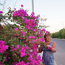 ���� ������, �����-���������, 64 ���� - ��������� 21 ���� 2013 � ������ ���
