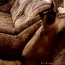 ���� ���@����@, �������, 49 ��� - ��������� 23 ������� 2010 � ������ ���� �����