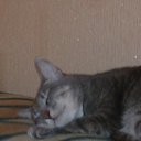 ���� Helena, �������� - ��������� 24 ����� 2010 � ������ �������